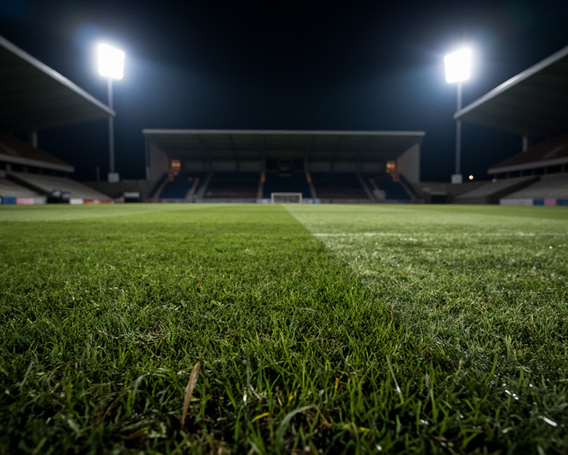 Professional Football Stadium Atmosphere